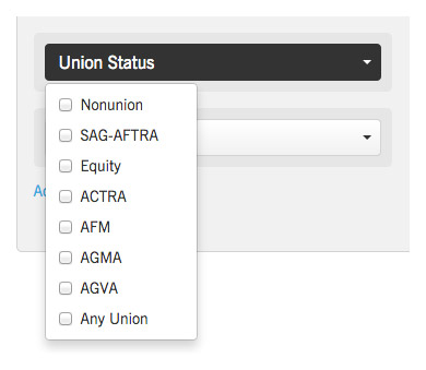 td_filter-panel_unionstatus